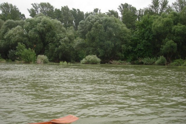 DSC01437