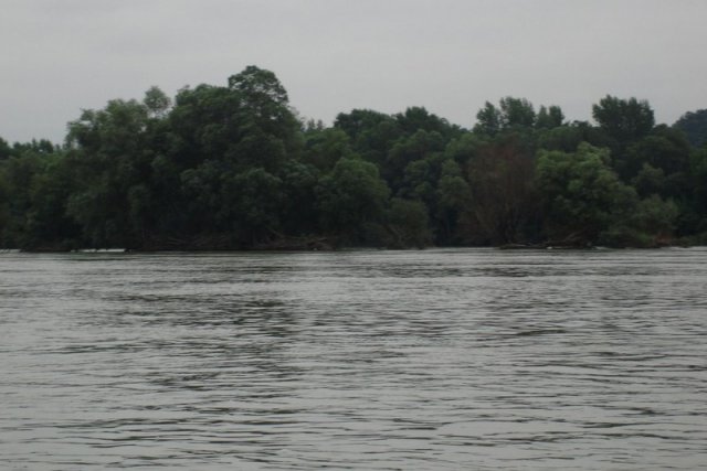 DSC01450