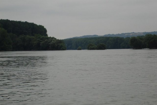 DSC01451