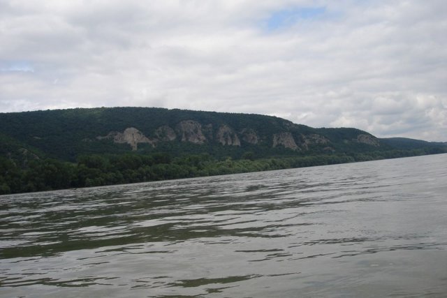 DSC01559