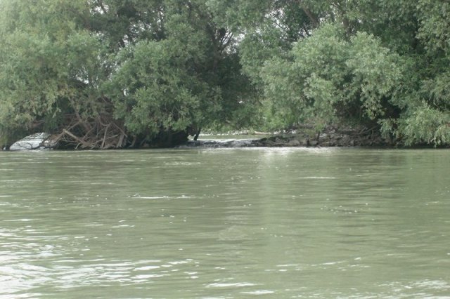 2012dunatura028