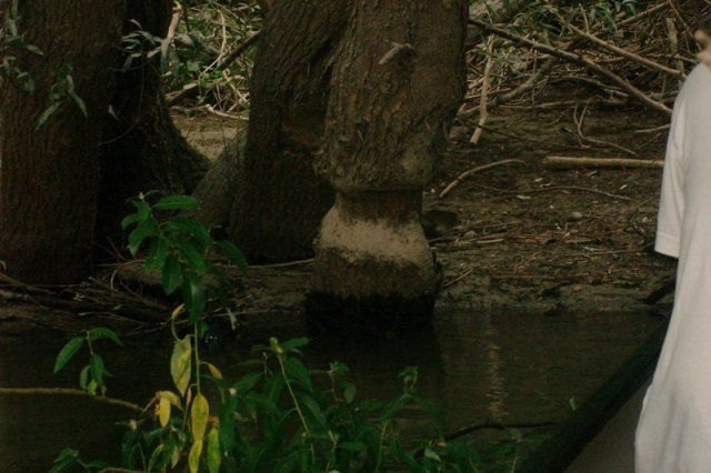 2012dunatura029