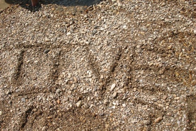 2012dunatura052