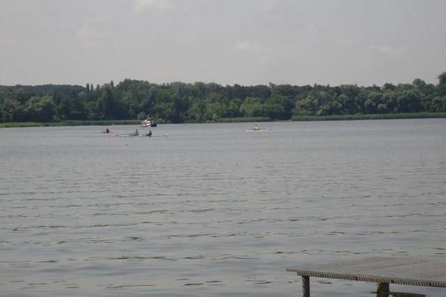 DSC05537