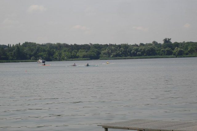 DSC05538