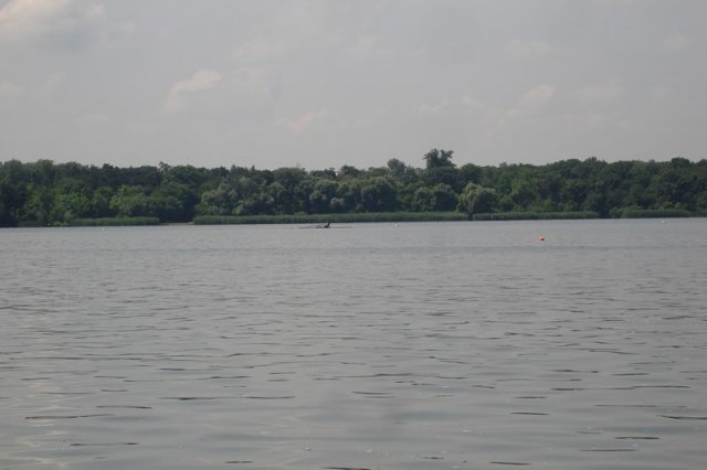 DSC05552