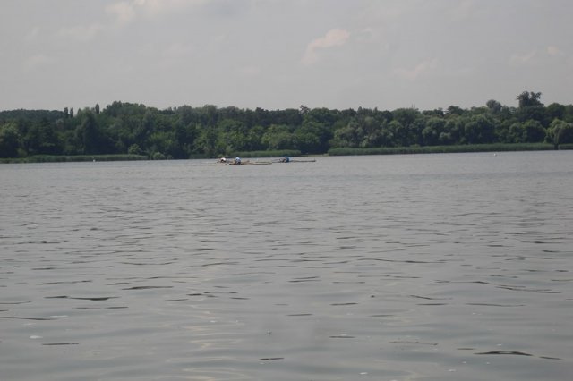 DSC05553
