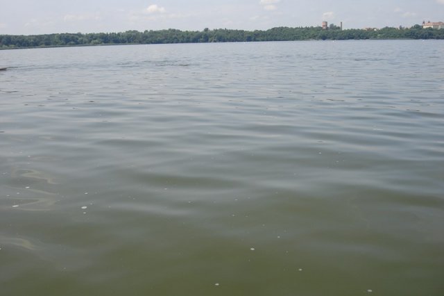 DSC05556