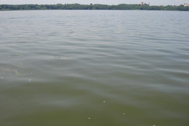 DSC05557