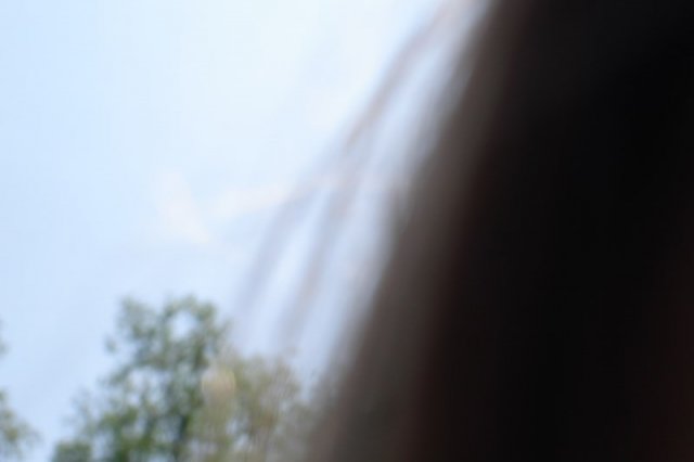 DSC05572