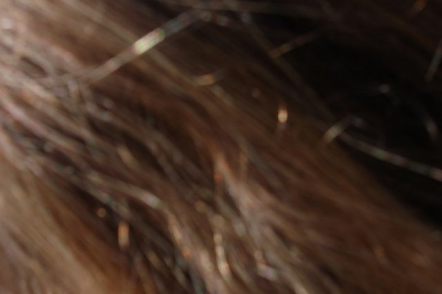 DSC05576