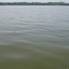DSC05557