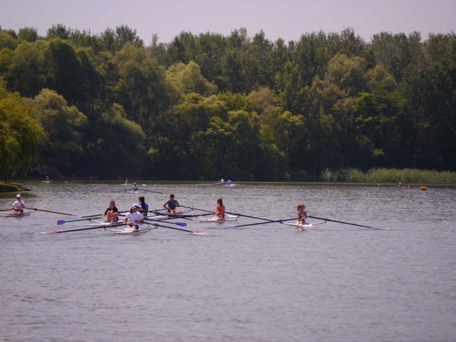 P1160311