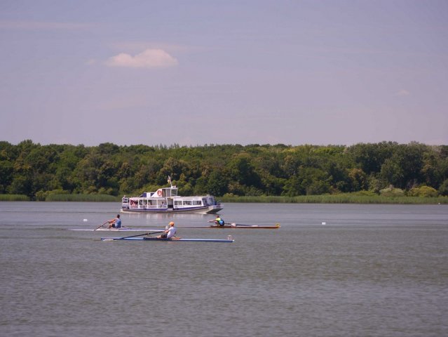 P1160313